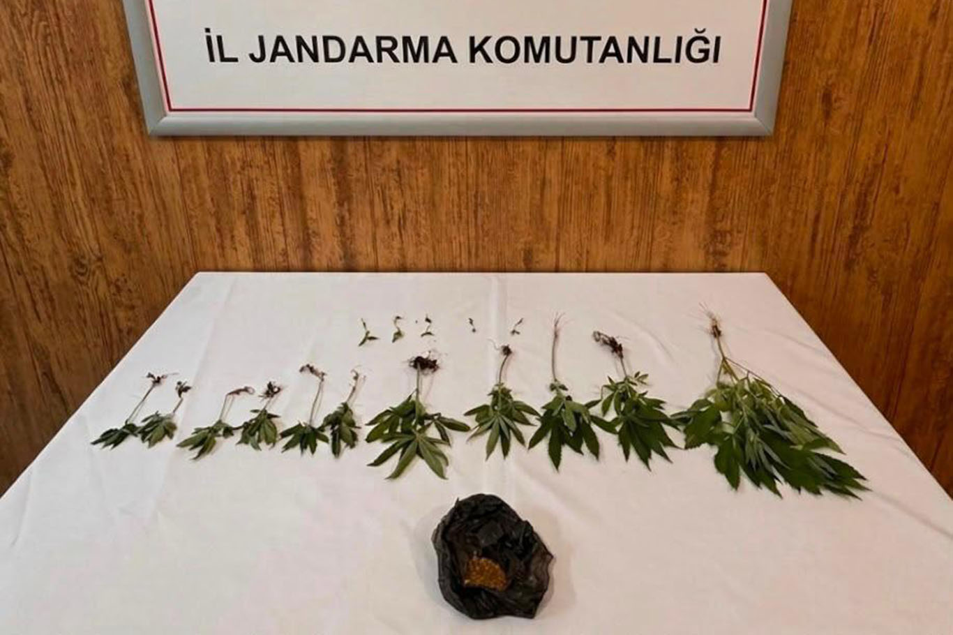 Şanlıurfa’da uyuşturucu operasyonu