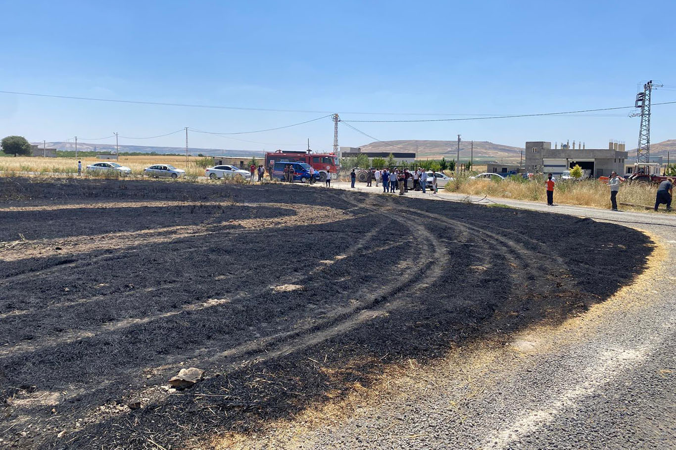 Şanlıurfa’da arpa tarlasında yangın
