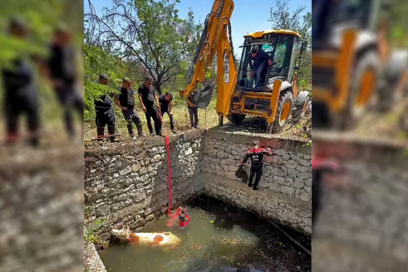 Malatya'da sulama havuzuna düşen gebe inek 2 saatlik çalışmayla kurtarıldı