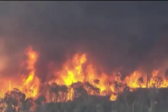Wildfires burn thousands of hectares in Florida, forcing road closures
