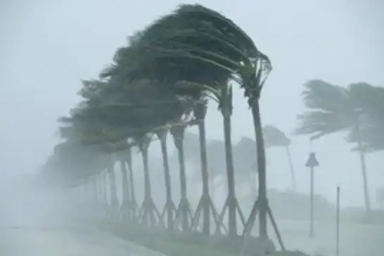 Meteoroloji'den uyarı: Rüzgâr ve yağışa karşı dikkat!