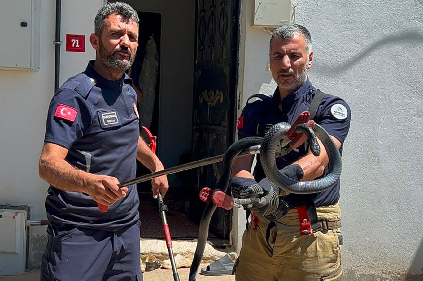 Adıyaman'da mahallelinin 4 yıllık korkusu sona erdi: Yılan yakalanıp doğaya bırakıldı