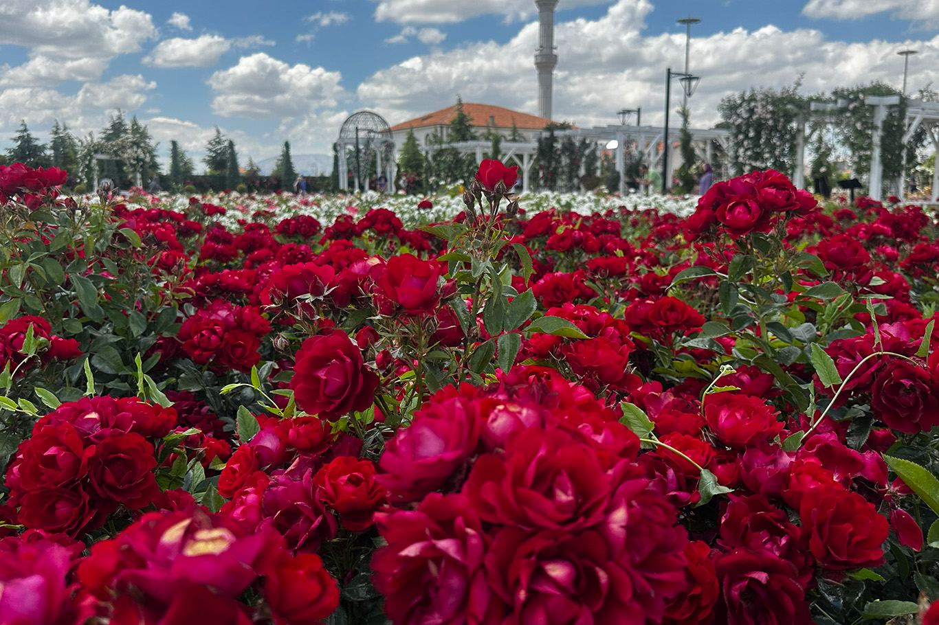 Karatay Mevlana Gül Bahçesi ziyaretçilerin ilgi odağı oldu 