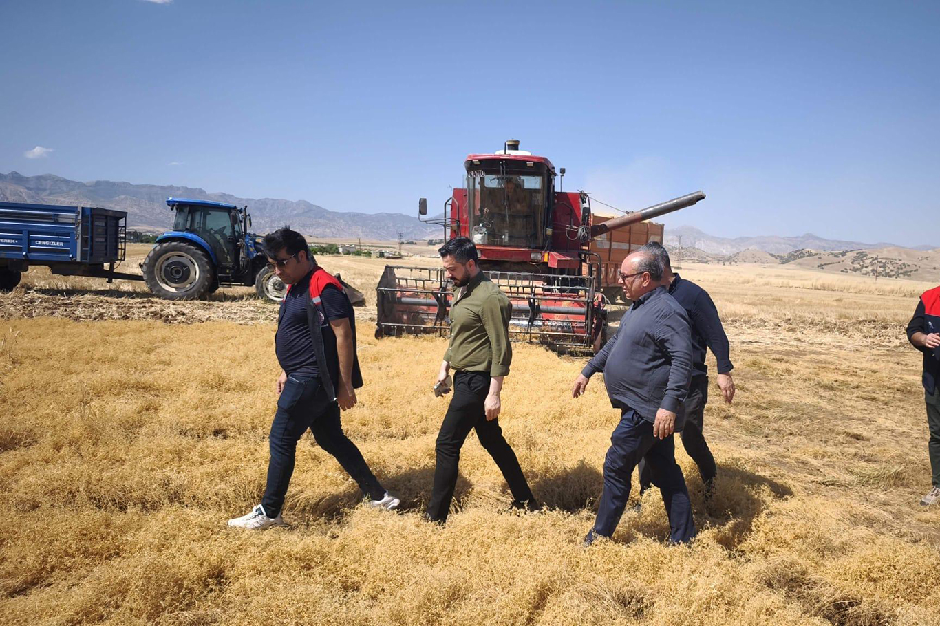 Şırnak’ta atıl araziler TAKE Projesi ile kırmızı mercimek üretimine kazandırıldı