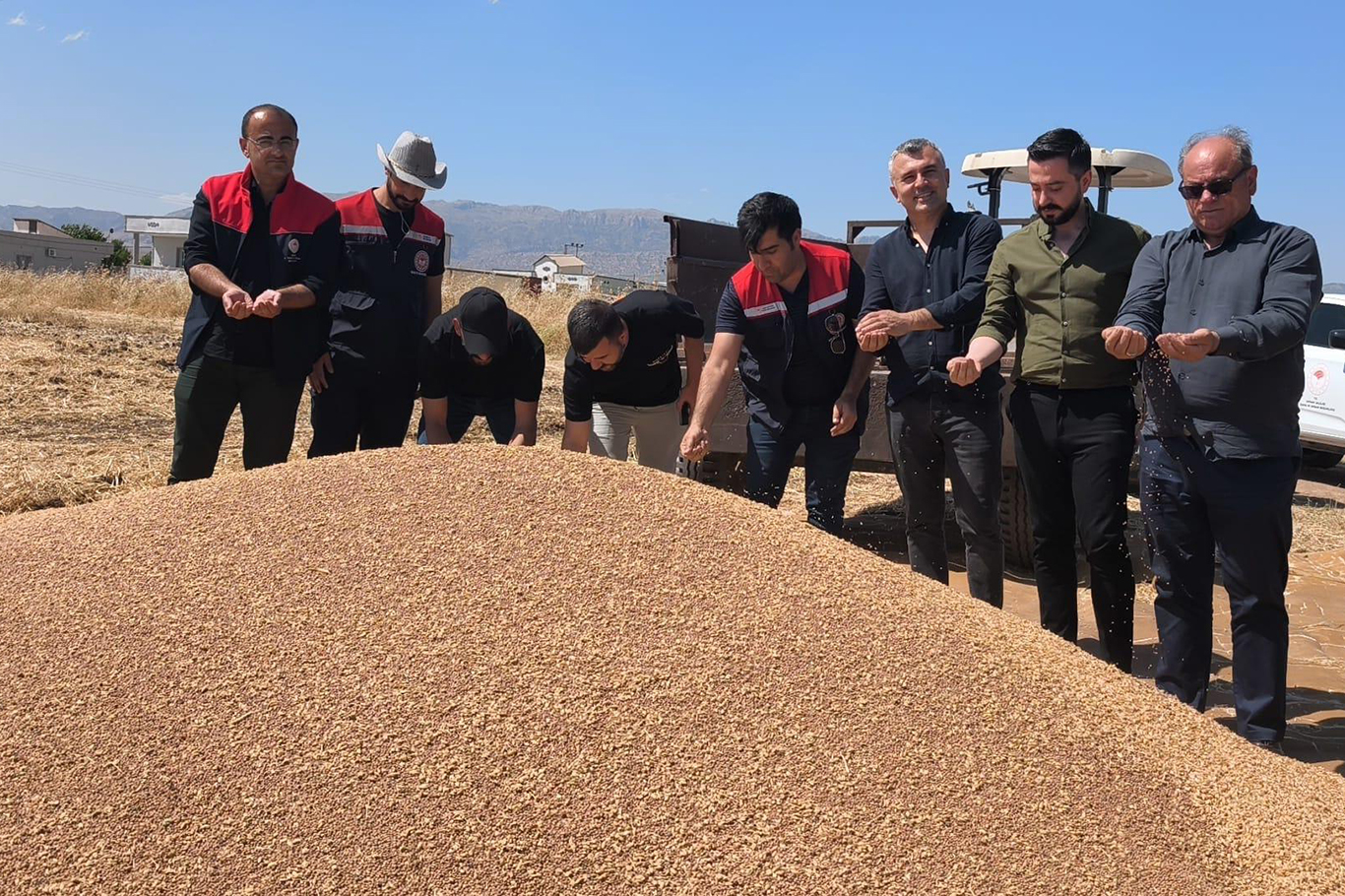 Şırnak’ta atıl araziler TAKE Projesi ile kırmızı mercimek üretimine kazandırıldı