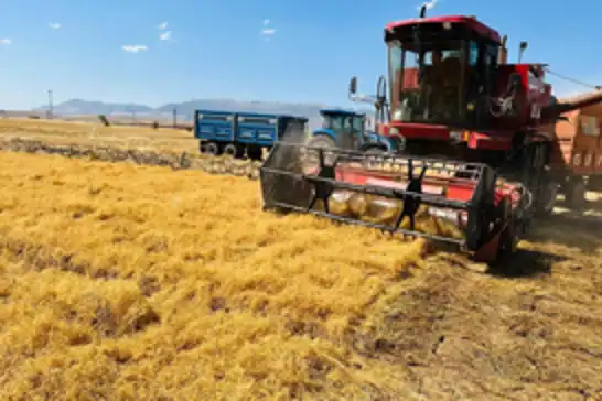 Şırnak’ta atıl araziler TAKE Projesi ile kırmızı mercimek üretimine kazandırıldı
