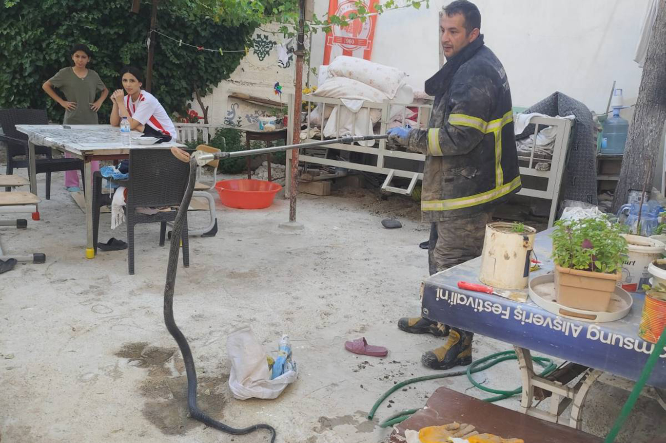 Batman’da 2 metre uzunluğunda yılan yakalanarak doğaya bırakıldı
