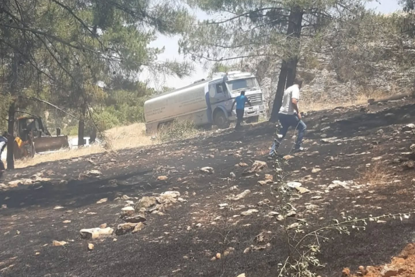 Gaziantep'te ağaçlık alanda yangın