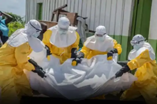 Kongo'da Ebola salgını nedeniyle 267 kişi hayatını kaybetti