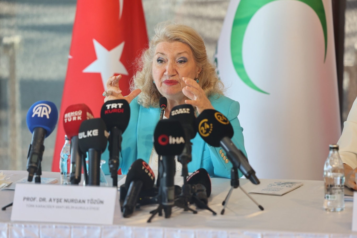 Prof. Dr. Ayşe Nurdan Tözün