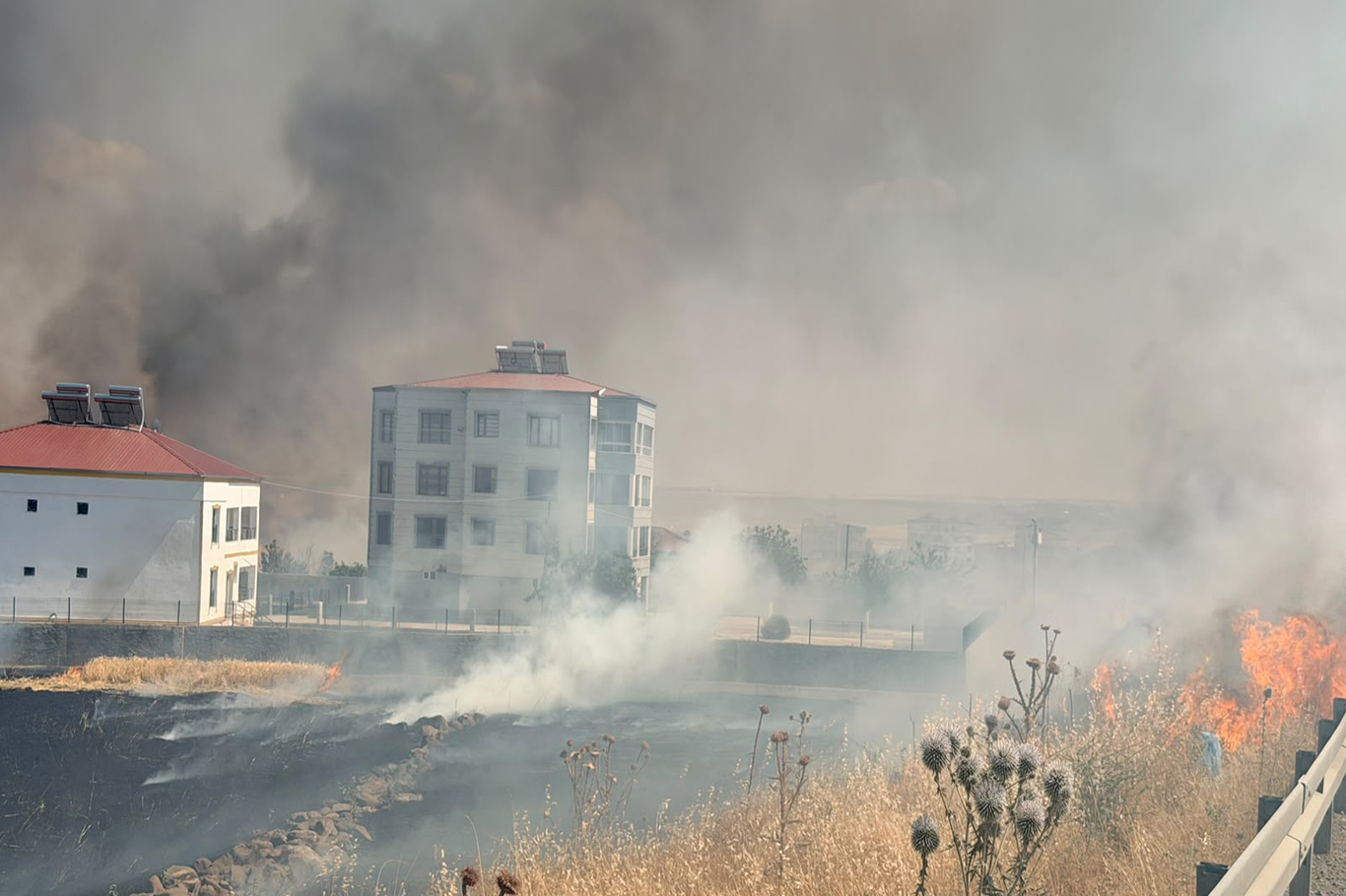 Li Dîyarbekirê agir bi zevî ket û ber bi xanîyan ve diçe