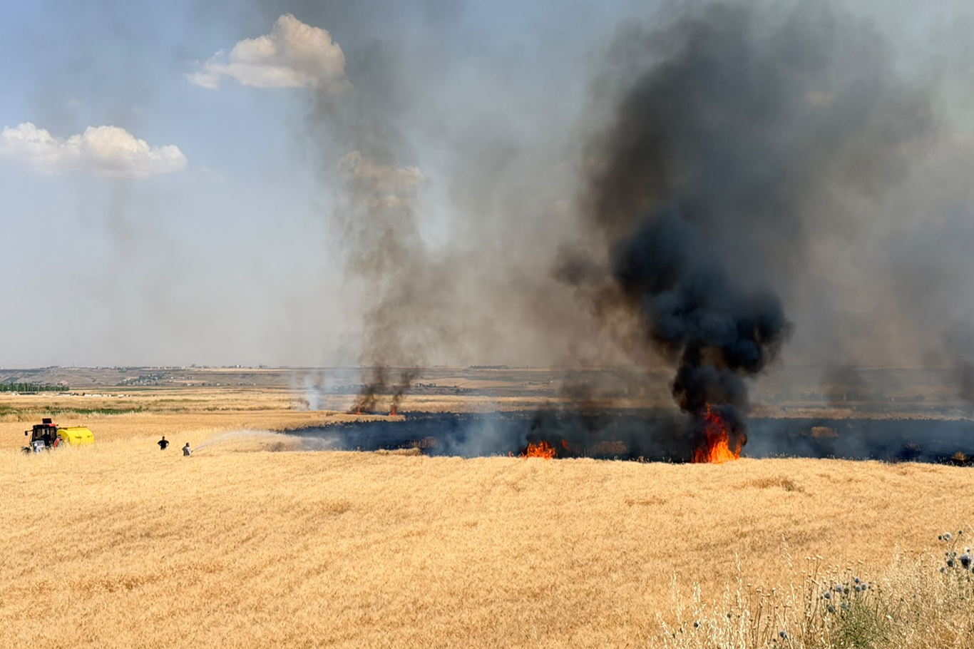 Li Dîyarbekirê agir bi zevî ket û ber bi xanîyan ve diçe