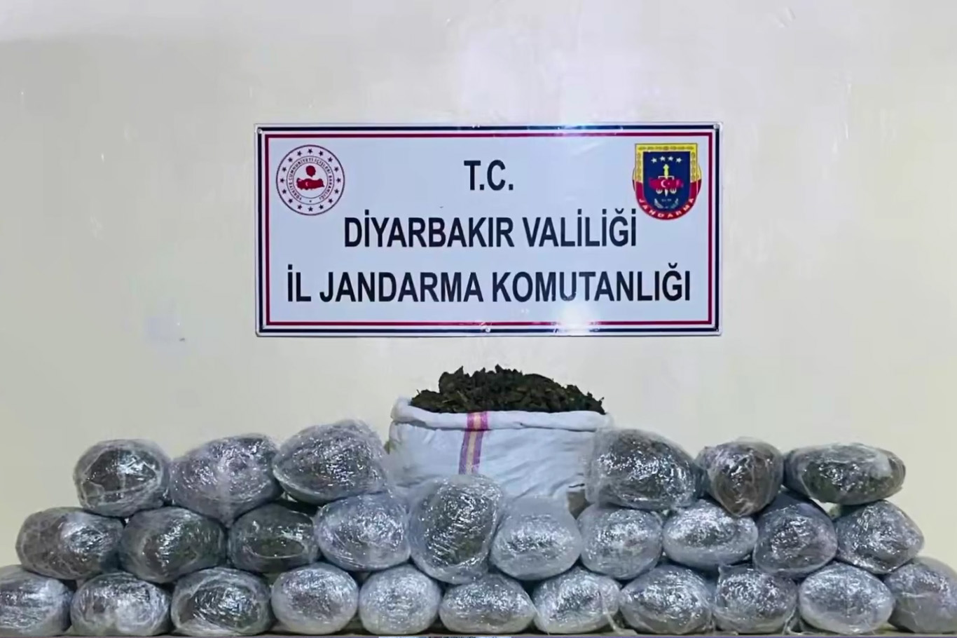 Diyarbakır'da 1 milyon 755 bin kök kenevir ve skunk ele geçirildi