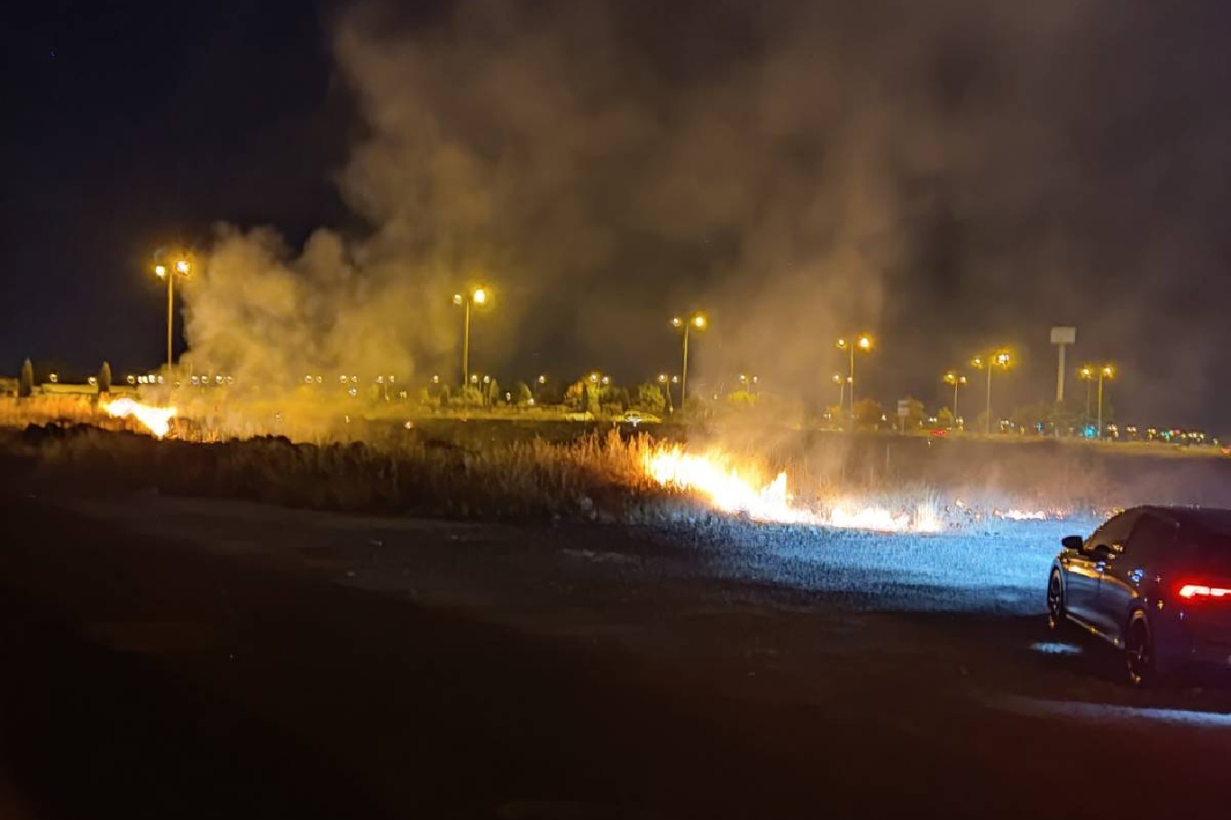 Diyarbakır'da otluk alandaki yangın korkuttu