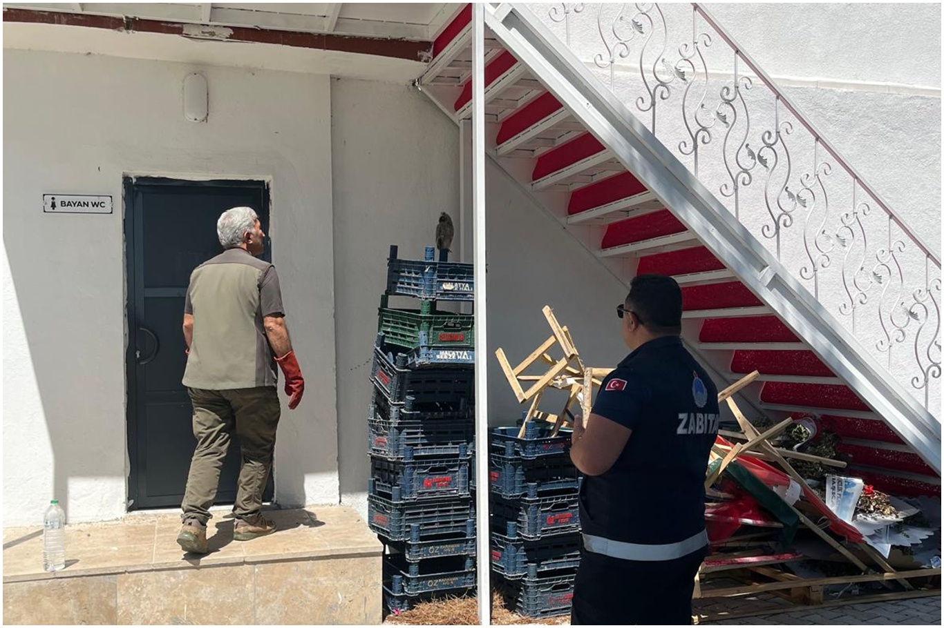 Battalgazi zabıtası bulduğu yavru baykuşu koruma altına aldı