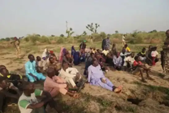 Nigerian troops rescue 53 civilians in Borno anti-insurgency operation