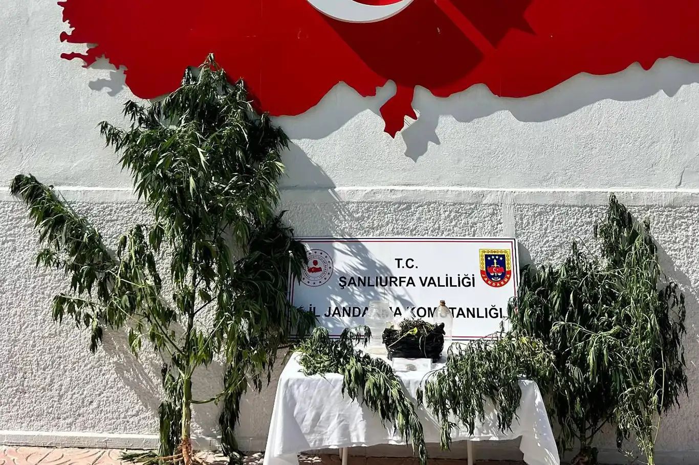 Şanlıurfa'da uyuşturucu operasyonu