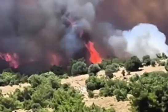 İzmir’in iki ilçesinde ormanlık alanda yangın çıktı