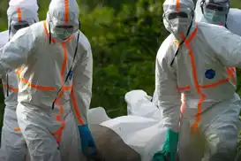 Ebola crisis deepens in DR Congo as health workers lose contact with 300 patients