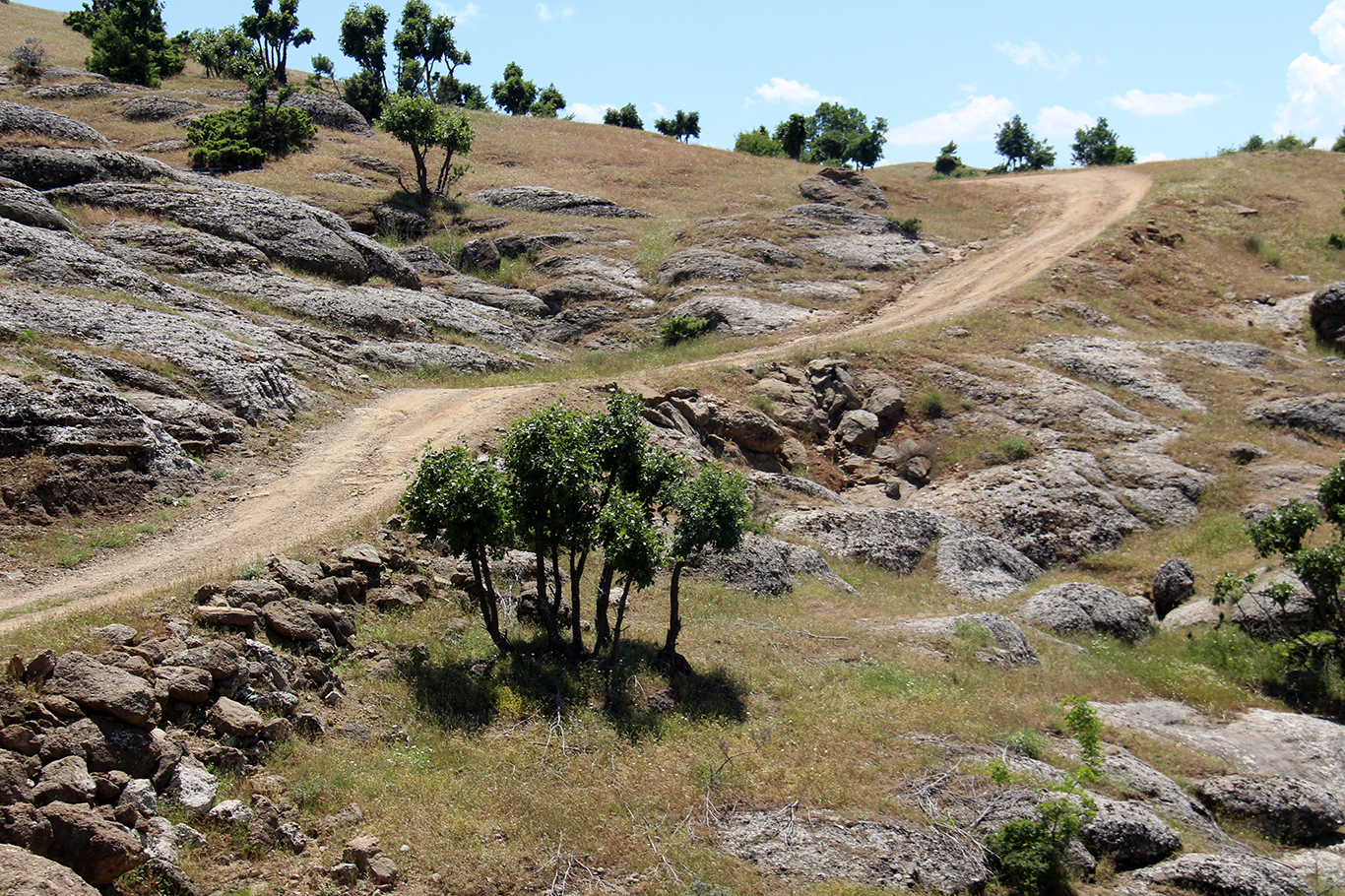 Tarihi Kefrun Kalesi yolu 7 yıldır yapılmayı bekliyor