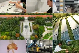 Turkish universities expand environmental and climate research efforts on World Environment Day