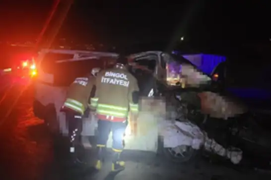 Bingöl'de hafif ticari araç yola çıkan ata çarptı: 1 ölü, 2 yaralı