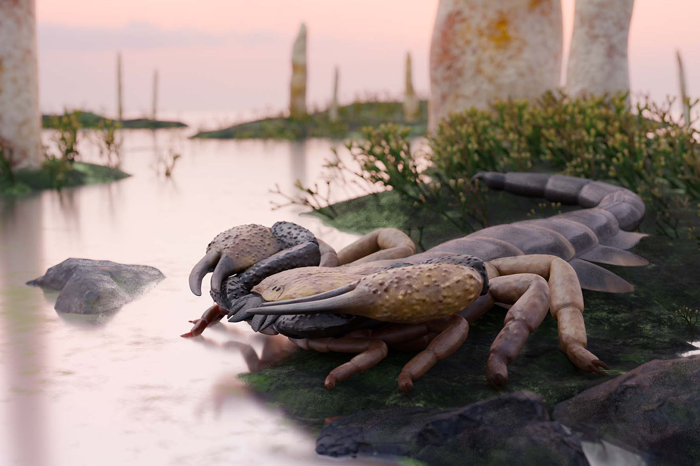 World's biggest scorpion revealed by 415-million-year-old fossils