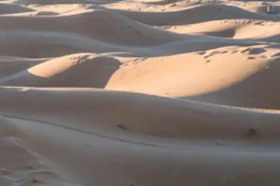 At least 50 die of thirst after truck breaks down in Sahara Desert