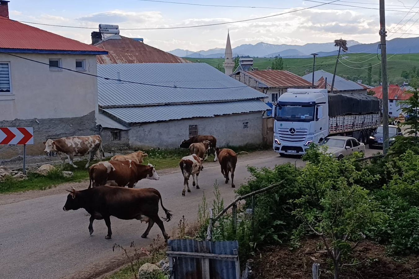 Adana'da mahalle içinden geçen yol için vatandaşlardan çevre yolu talebi