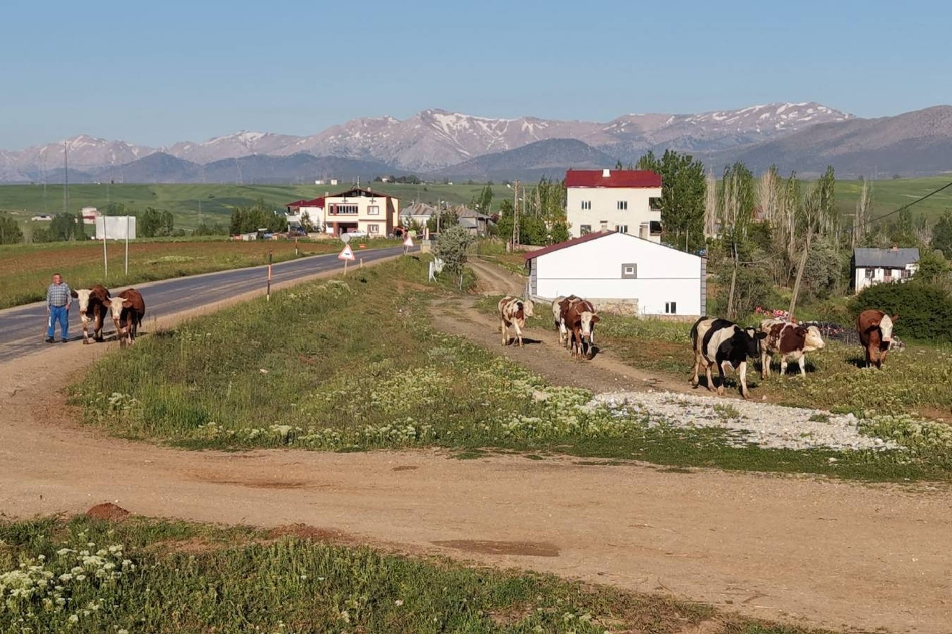 Adana'da mahalle içinden geçen yol için vatandaşlardan çevre yolu talebi