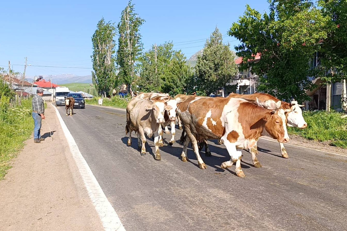 Adana'da mahalle içinden geçen yol için vatandaşlardan çevre yolu talebi