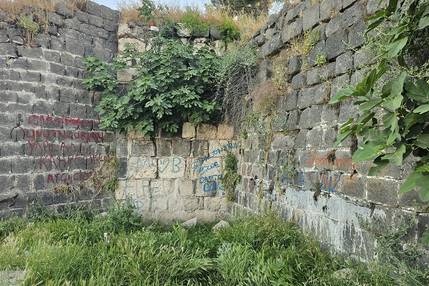 Binlerce yıllık Cizre surlarına sprey boyalı saldırı