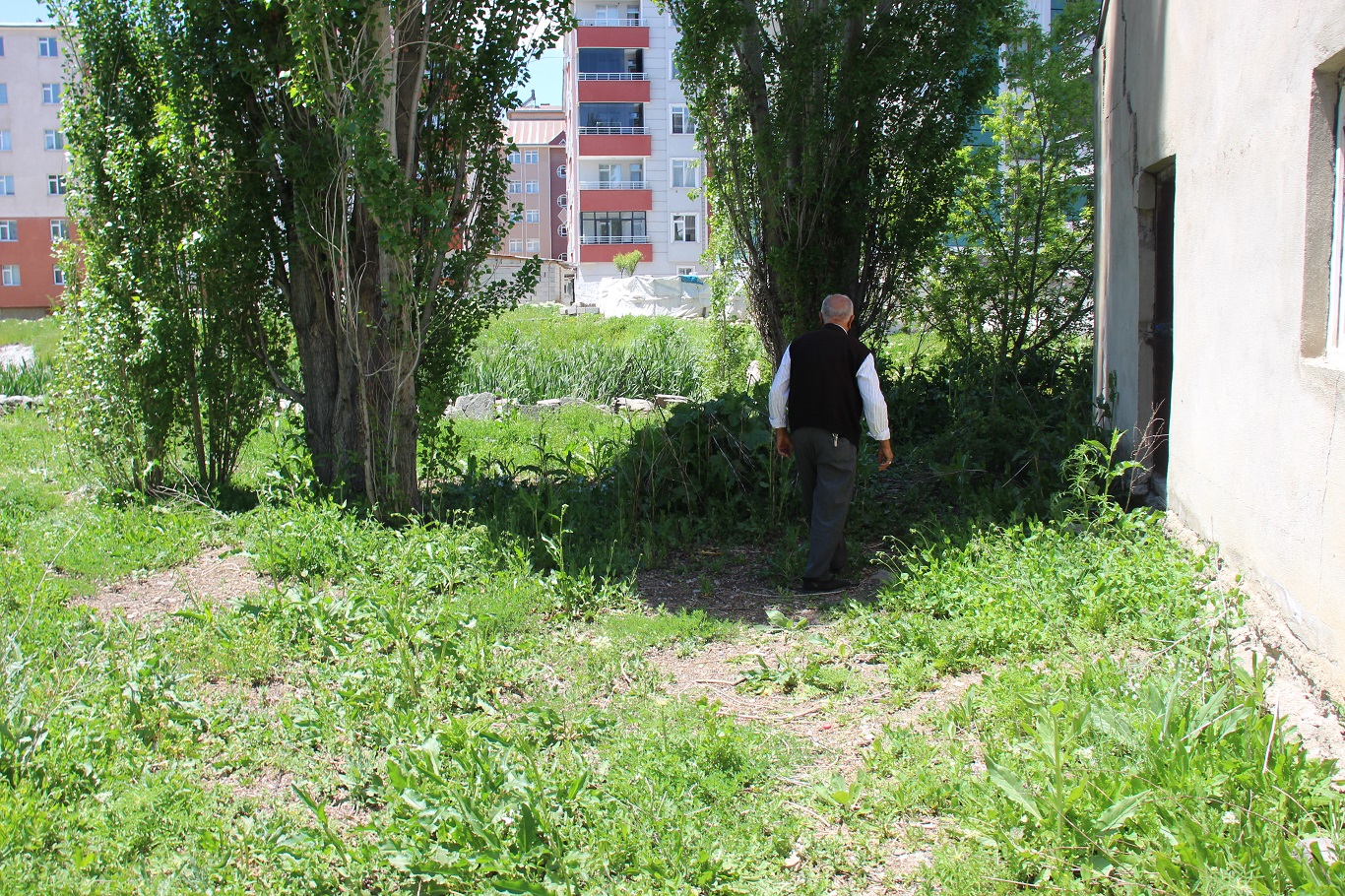 Lüks sitelerin arasında bir köy hayatı şehrin göbeğinde 40 yıllık doğa hayatı