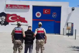 Batman'da iki ayrı operasyonda binlerce kök kenevir ele geçirildi