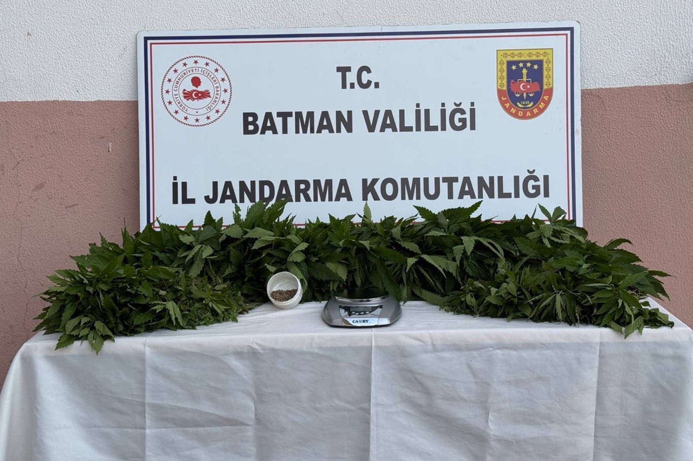 Batman'da iki ayrı operasyonda binlerce kök kenevir ele geçirildi