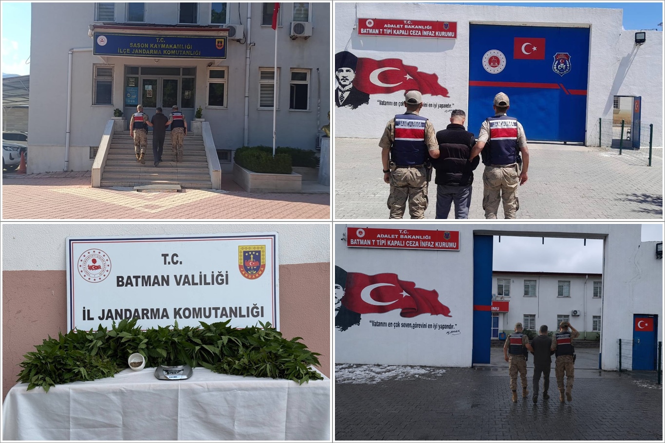 Batman'da iki ayrı operasyonda binlerce kök kenevir ele geçirildi