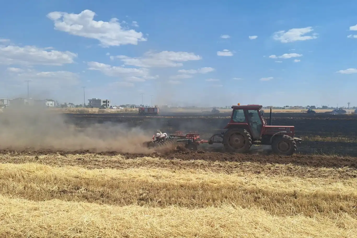 Mardin'de yaklaşık 80 dönüm buğday ekili alan kül oldu 