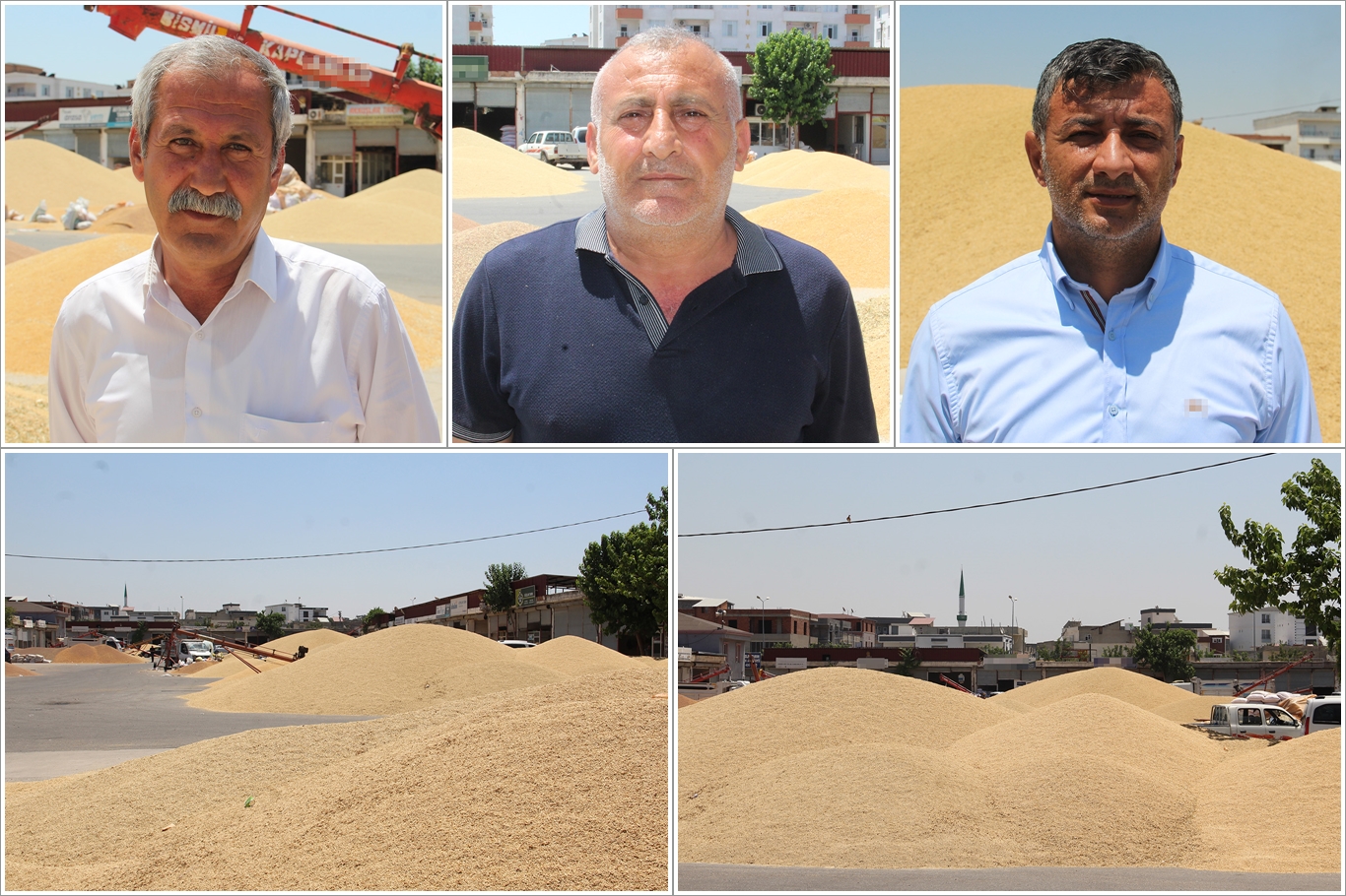 Buğday piyasası kilitlendi: Üretici ve tüccardan TMO'ya "ÇKS" çağrısı
