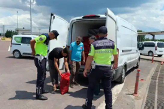 Yalova'da 3 ton kara midyesi ele geçirildi