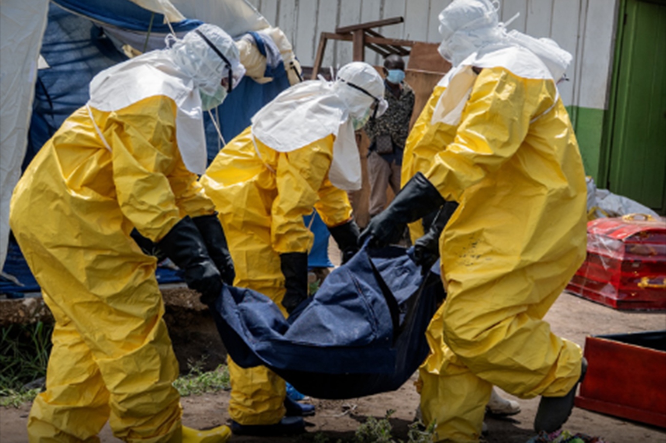 Lassa fever death toll rises to 221  in Nigeria 