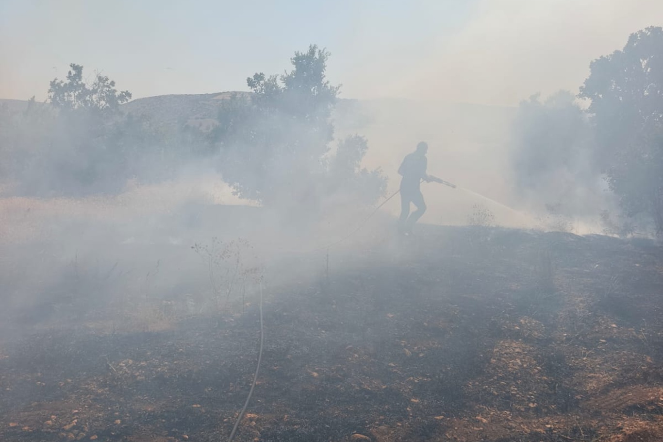 Malatya'da meşelik alanda yangın