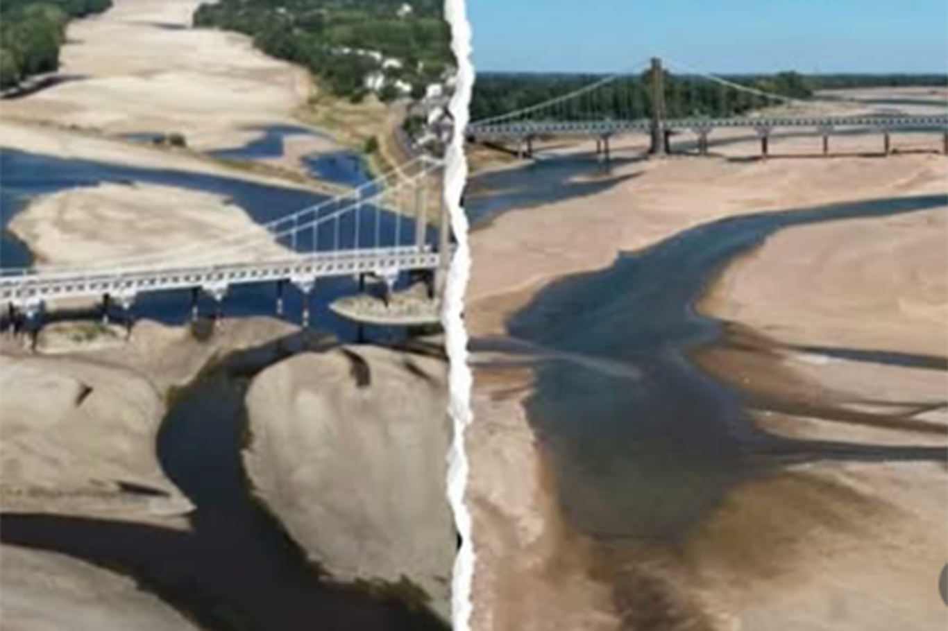 Extreme heat dries up rivers across southern France, threatening aquatic life