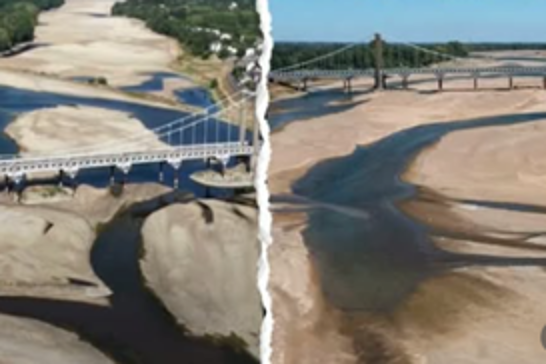 Extreme heat dries up rivers across southern France, threatening aquatic life