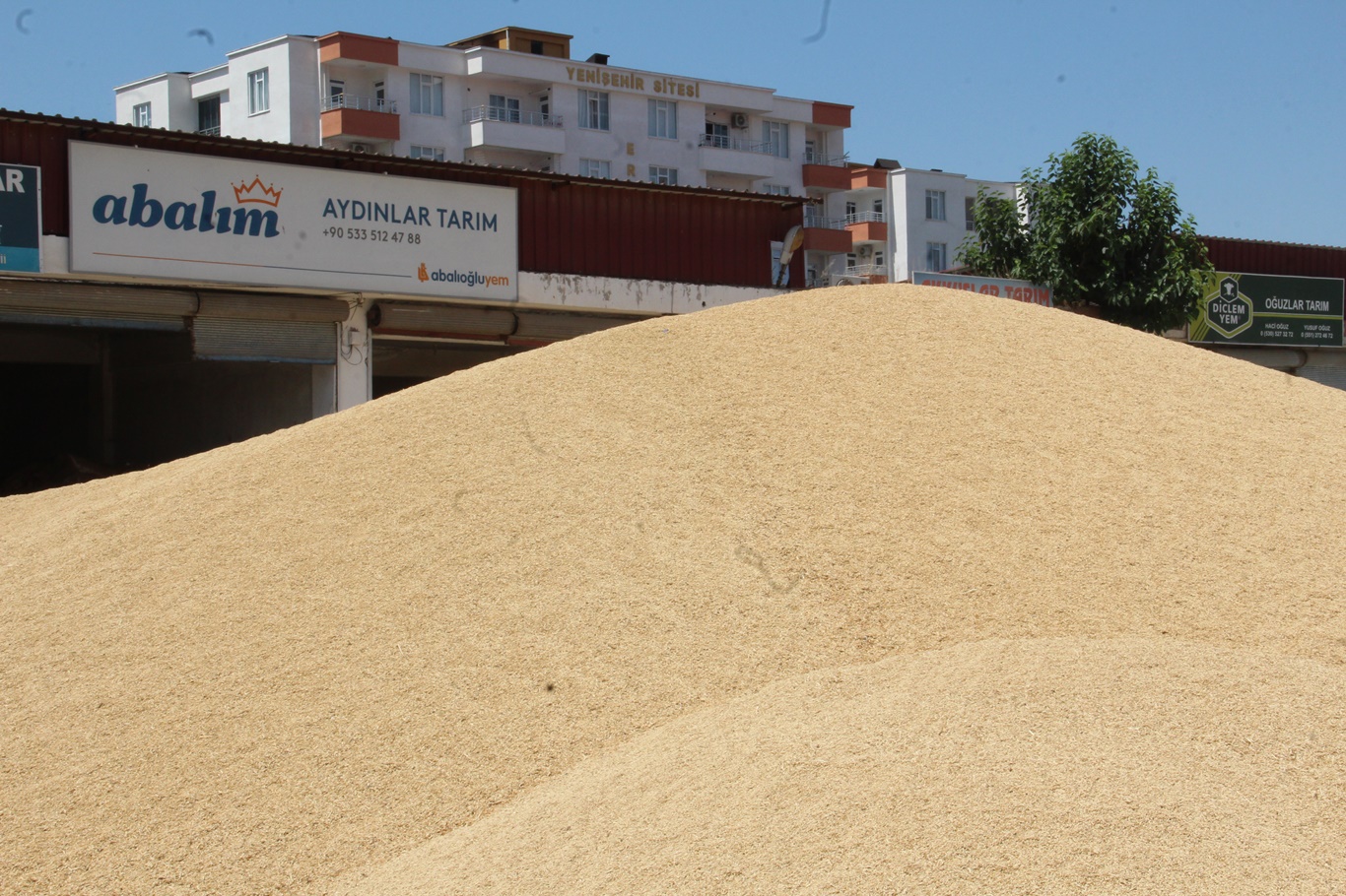 Bereketli hasat, hububat pazarına hareketlilik getirdi