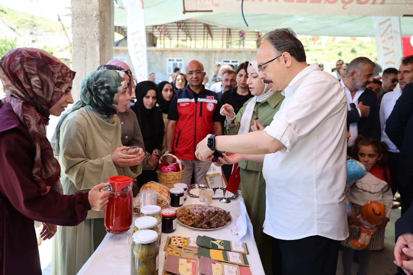 Siirt'te çilek hasadı başladı
