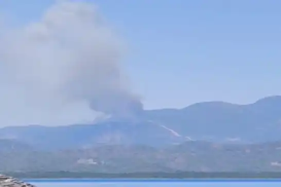Muğla Fethiye'de orman yangını