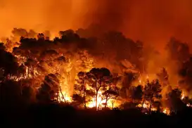 Massive wildfires force 200,000 evacuations in southwestern France