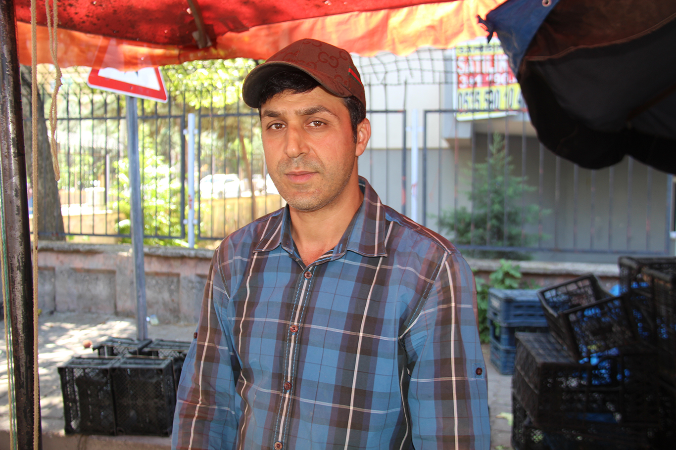 Davut Yaşar