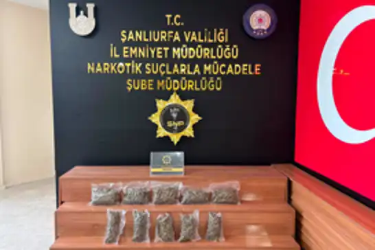 Şanlıurfa'da 2 kilo 600 gram skunk ele geçirildi: Bir tutuklama