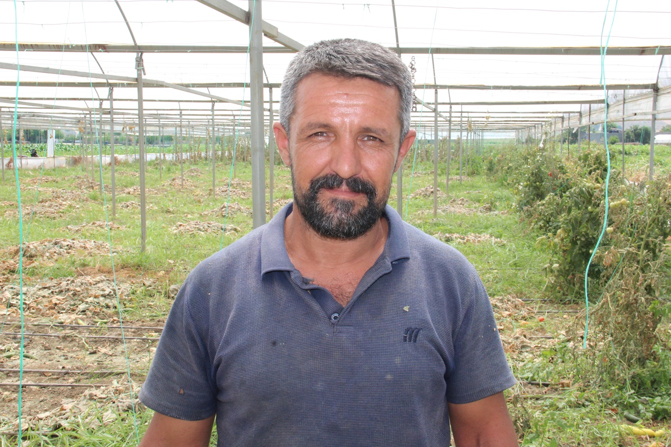 Ferdi Şimşek